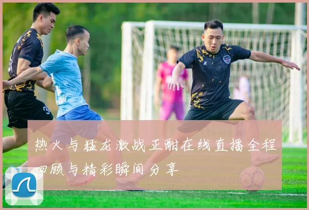 热火与猛龙激战正酣在线直播全程回顾与精彩瞬间分享