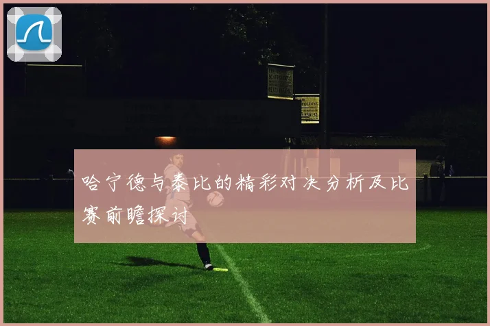 哈宁德与泰比的精彩对决分析及比赛前瞻探讨