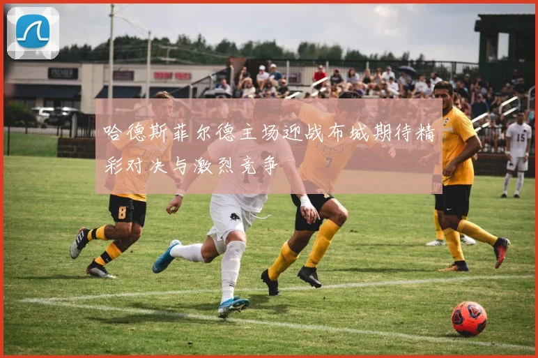 哈德斯菲尔德主场迎战布城期待精彩对决与激烈竞争