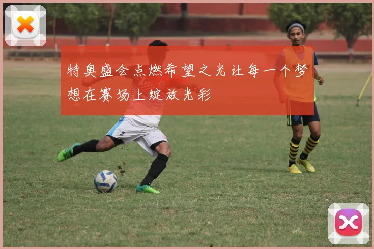 特奥盛会点燃希望之光让每一个梦想在赛场上绽放光彩