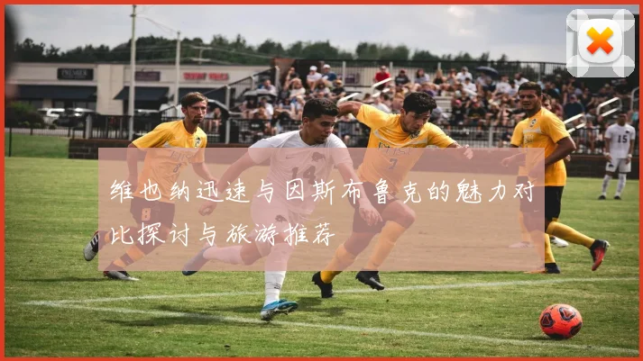 维也纳迅速与因斯布鲁克的魅力对比探讨与旅游推荐