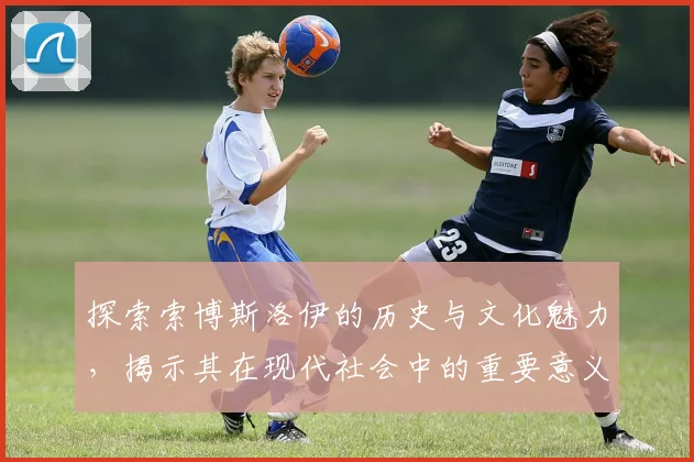 探索索博斯洛伊的历史与文化魅力，揭示其在现代社会中的重要意义