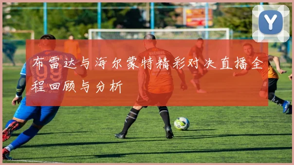 布雷达与海尔蒙特精彩对决直播全程回顾与分析