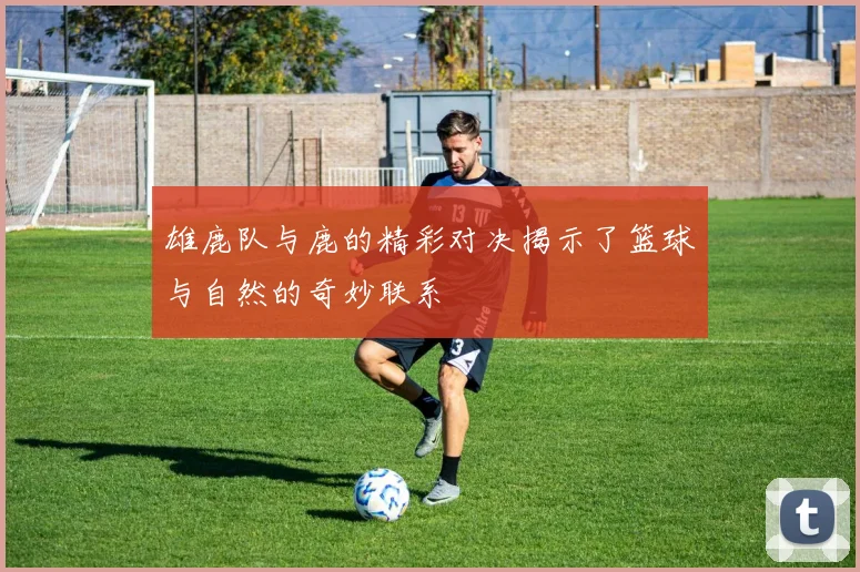 雄鹿队与鹿的精彩对决揭示了篮球与自然的奇妙联系